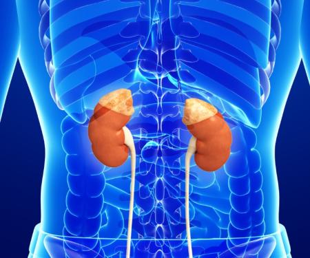 Link to /sites/default/files/styles/post_teaser_image_300x250_/public/adrenal%20tumor.jpg?h=2240b8e9&itok=AItE3-Ot