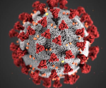 A 3D representation of a virus.