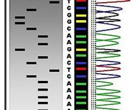 Link to /sites/default/files/styles/post_teaser_image_300x250_/public/images/blog/thumb/DNA-Sequencing.jpg?h=799d519a&itok=MOXXba60