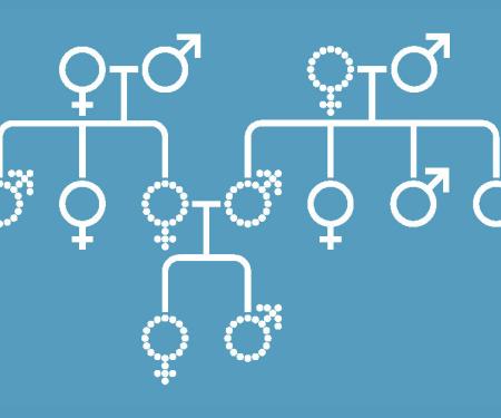 A white chart on a blue background showing likelihood of genes that can be passed from parents to children.