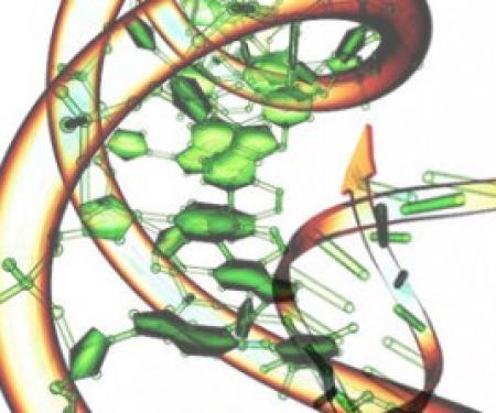 An artistic depiction of green hexagons, some connected and others detached, with brown cylindrical spirals surrounding them.