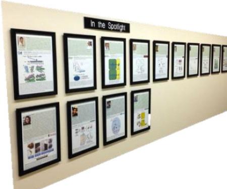 Link to /sites/default/files/styles/post_teaser_image_300x250_/public/images/blog/thumb/in-the-spotlight.jpg?h=c22e5cd4&itok=hejZn9Mx