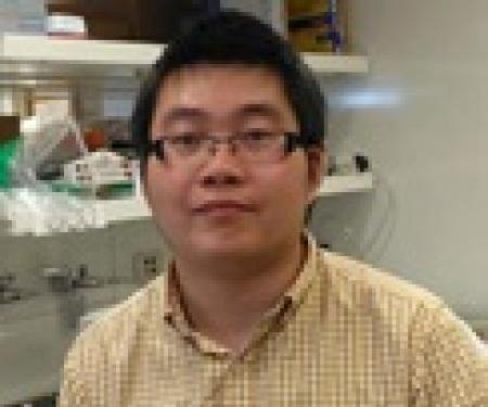 A portrait shot of Yifan Wang standing in a laboratory.