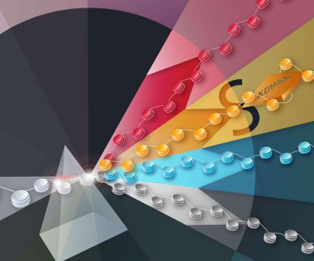 Link to /sites/default/files/styles/post_teaser_image_300x250_/public/images/news/thumb/CELL-REPORTS-D-21-04166_Whetstine.jpg?h=30f7751d&itok=dC9pR98F