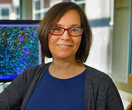 Link to /sites/default/files/styles/post_teaser_image_300x250_/public/images/news/thumb/Cukierman-Edna_2_thumb.jpg?h=21107675&itok=opDJ4kVd