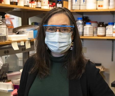 Link to /sites/default/files/styles/post_teaser_image_300x250_/public/images/news/thumb/Cukierman-mask.jpg?h=2240b8e9&itok=eFn_s4hf