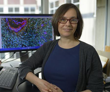 Link to /sites/default/files/styles/post_teaser_image_300x250_/public/images/news/thumb/EdnaCukierman_1200-628.jpg?h=23f37229&itok=A-YZNo6v