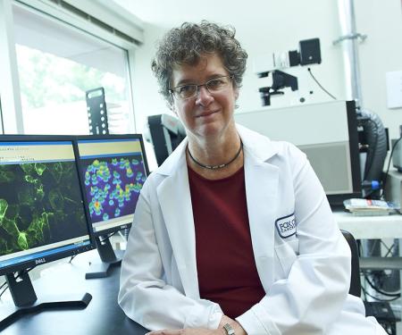 Link to /sites/default/files/styles/post_teaser_image_300x250_/public/images/news/thumb/Erica%20Golemis_1200.jpg?h=49a03a9a&itok=eiF-iT0x