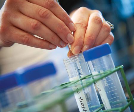 Link to /sites/default/files/styles/post_teaser_image_300x250_/public/images/news/thumb/ResearchHandsVialThumb.jpg?h=7f412c8f&itok=B6M3F5ew