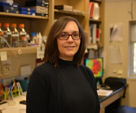 Edna Cukierman, PhD, received a $292,999 grant from Worldwide Cancer Research