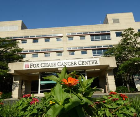 Link to /sites/default/files/styles/post_teaser_image_300x250_/public/images/news/thumb/fccc_Exterior_west_flowers_047_slide_3.jpg?h=215a277b&itok=M3rrHrSV