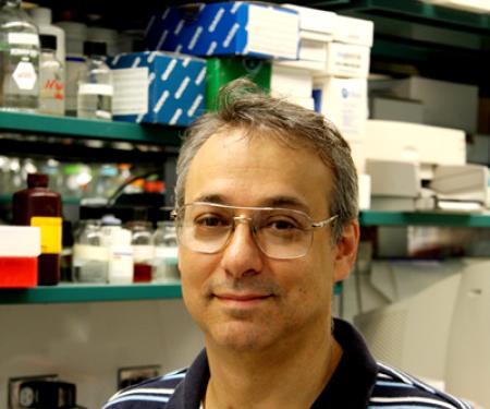 Professor Warren Kruger