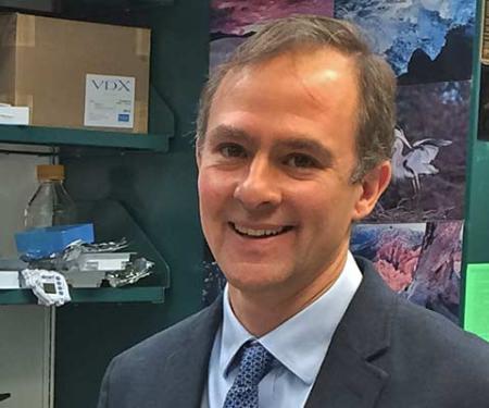 The goal of this project is to evaluate and exploit the mechanisms of inducing programmed cell death using polyunsaturated fatty acids in triple-negative breast cancer (TNBC).