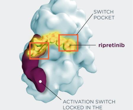 Link to /sites/default/files/styles/post_teaser_image_300x250_/public/images/news/thumb/ripretinib%20image%20square.jpg?h=4950497c&itok=mXQdUIuO