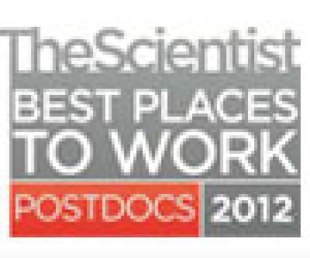 Link to /sites/default/files/styles/post_teaser_image_300x250_/public/images/news/thumb/scientist_postdoc.jpg?h=2fe70790&itok=gTee0fZD