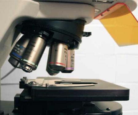Link to /sites/default/files/styles/post_teaser_image_300x250_/public/images/news/thumb/thumb_research_microscope01_6.jpg?h=7716e19e&itok=k3Cb3xv_