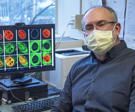 Link to /sites/default/files/styles/post_teaser_image_300x250_/public/images/news/thumb/wiest-david-2656.jpg?h=2240b8e9&itok=8MzGBP87