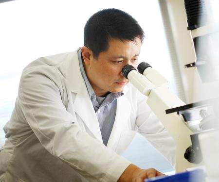 Link to /sites/default/files/styles/post_teaser_image_300x250_/public/images/news/thumb/yangmicroscope1200x628.jpg?h=57d31591&itok=8VyrtwXC