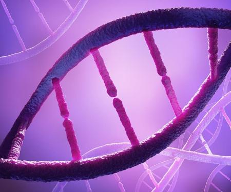 A artistic rendition of a several double helixes representing DNA in shades of purple.