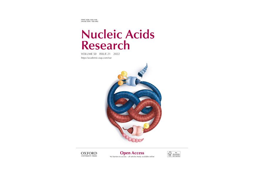 Nucleic Acids Research Volume 50 Issue 21 2022 https://academic.oup.com/nar  Oxford University Press Open Access - Cover with an image of a blue and red snakes intertwined