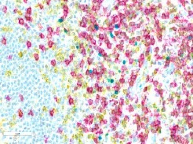 Link to /sites/default/files/styles/slider_desktop/public/2024-02/image2_1.jpg?itok=A6Ab_ab-