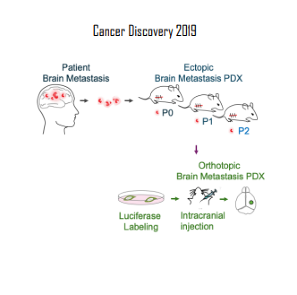 Cancer Discovery 2019