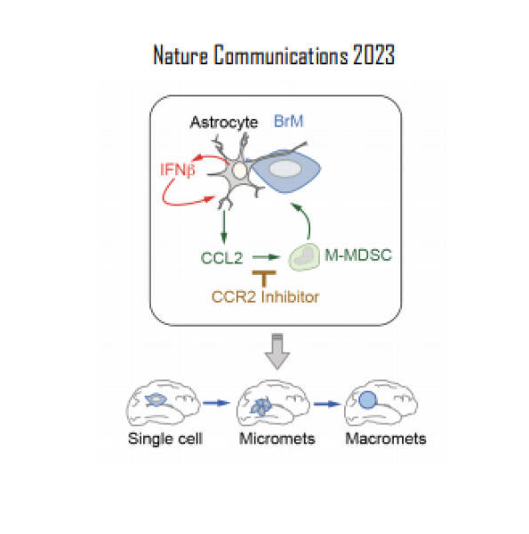 Nature Communications 2023