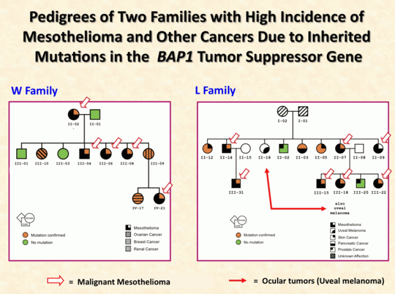 Link to /sites/default/files/styles/slider_desktop/public/images/slide/1.gif?itok=4_cpLSCg