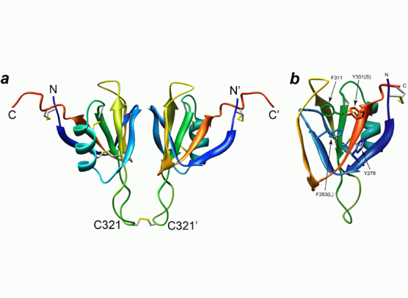 Link to /sites/default/files/styles/slider_desktop/public/images/slide/10large_0.gif?itok=V3AWDJ_K