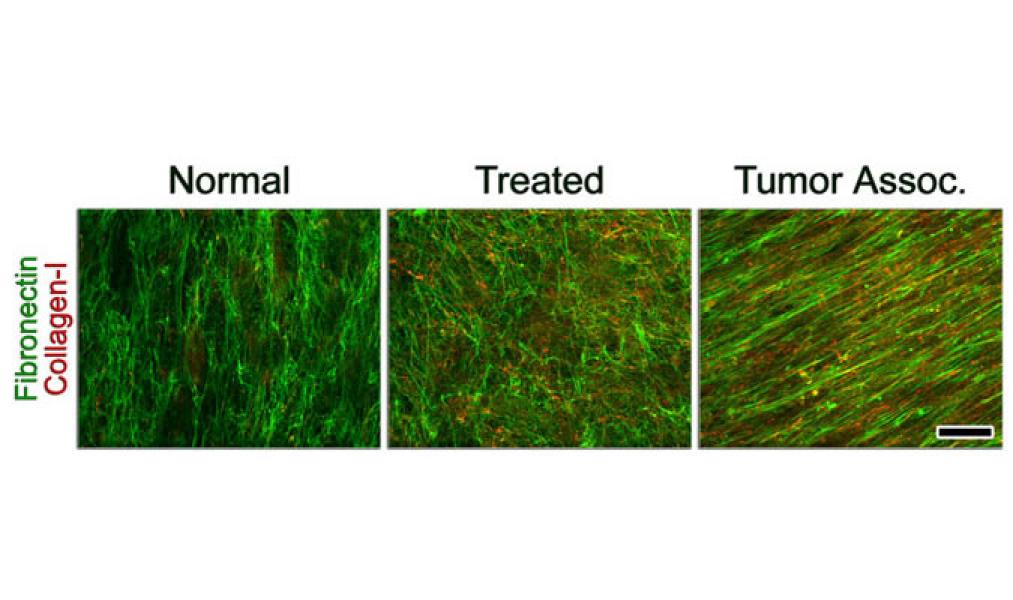 Link to /sites/default/files/styles/slider_desktop/public/images/slide/10large_0.jpg?itok=hVeqOWX0