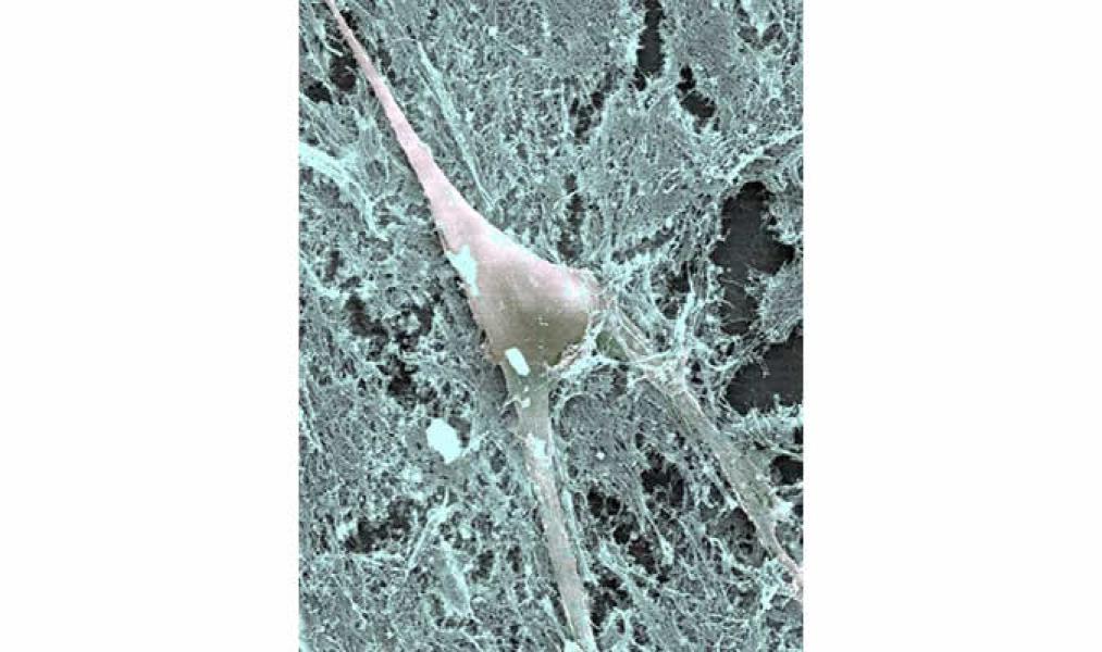 Link to /sites/default/files/styles/slider_desktop/public/images/slide/12large_0.jpg?itok=NQUkzXin