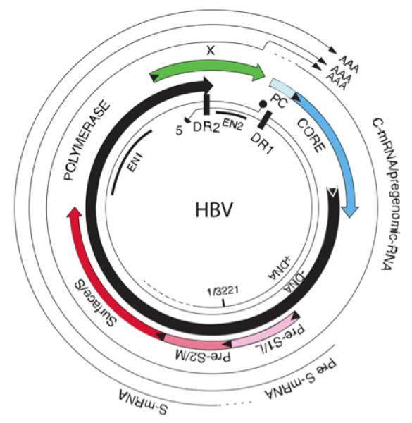 Link to /sites/default/files/styles/slider_desktop/public/images/slide/1L_1.jpg?itok=Ao6mZM4j