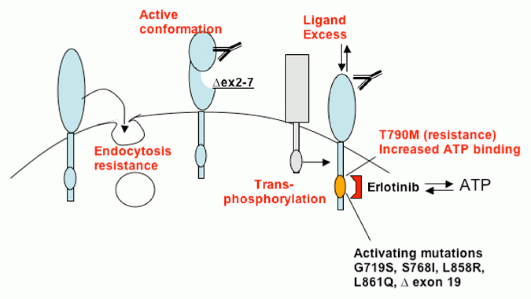 Link to /sites/default/files/styles/slider_desktop/public/images/slide/1L_2.gif?itok=valZgMlT