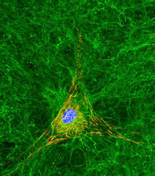 Link to /sites/default/files/styles/slider_desktop/public/images/slide/1large_1.jpg?itok=OjoiMMNy