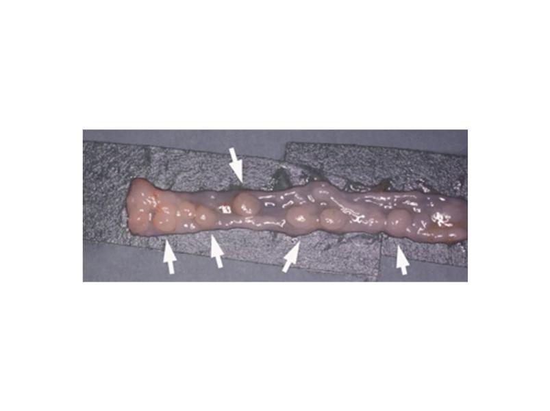 Link to /sites/default/files/styles/slider_desktop/public/images/slide/2L_6.jpg?itok=WQ-YYEIy