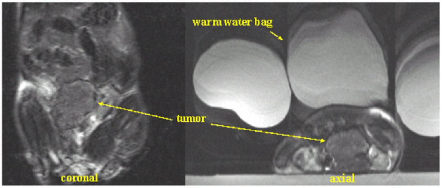 Link to /sites/default/files/styles/slider_desktop/public/images/slide/3L.jpg?itok=TR3FEbDG