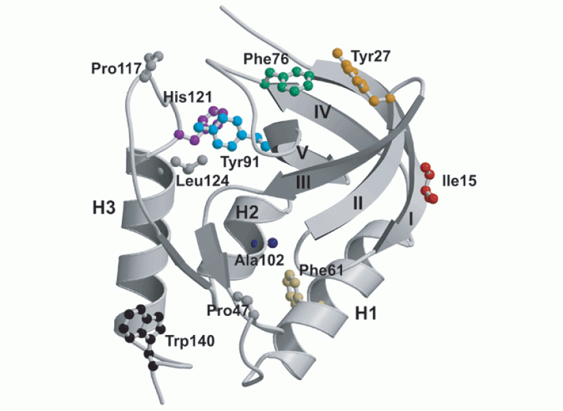 Link to /sites/default/files/styles/slider_desktop/public/images/slide/3large_1.gif?itok=7oVt20Ue