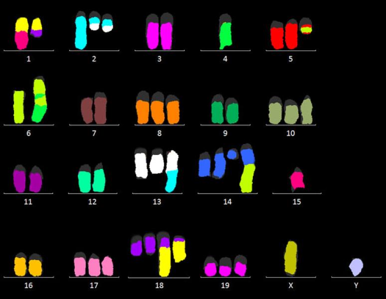 Link to /sites/default/files/styles/slider_desktop/public/images/slide/4L_0.jpg?itok=Xqf85nsg