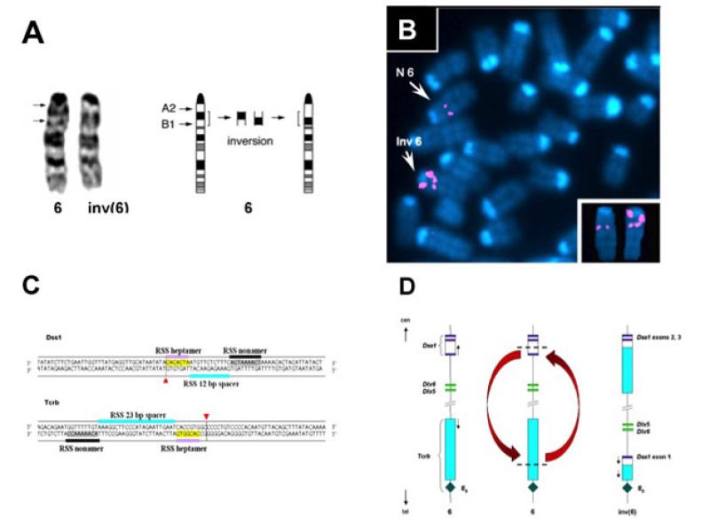 Link to /sites/default/files/styles/slider_desktop/public/images/slide/5L_1.jpg?itok=92ZP_92F