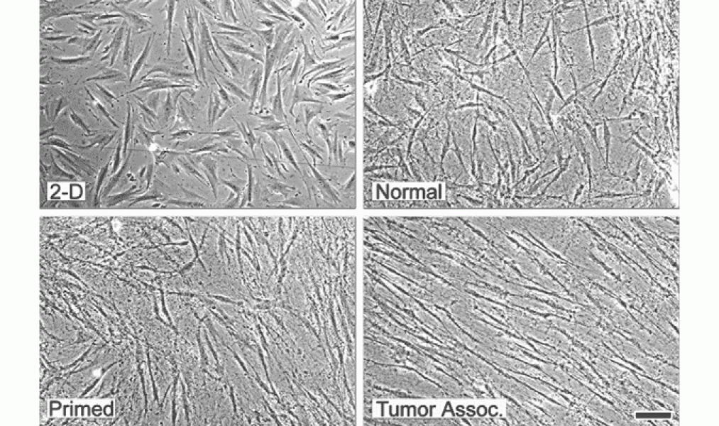 Link to /sites/default/files/styles/slider_desktop/public/images/slide/5large_2.gif?itok=J7C2r-AW