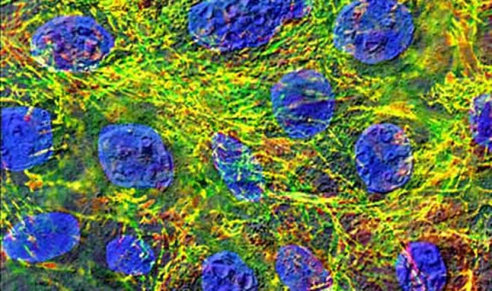 Link to /sites/default/files/styles/slider_desktop/public/images/slide/6large_1.jpg?itok=Okx4CJ27