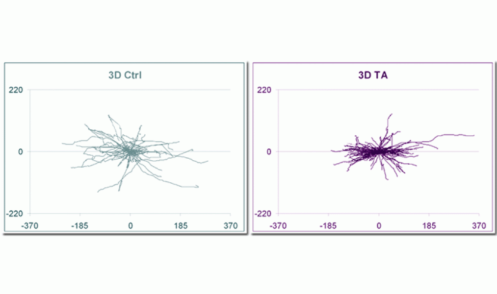 Link to /sites/default/files/styles/slider_desktop/public/images/slide/7large_0.gif?itok=7E2XkXbr