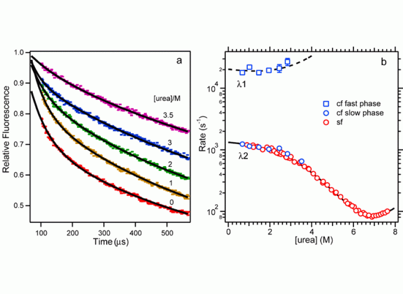 Link to /sites/default/files/styles/slider_desktop/public/images/slide/8large_0.gif?itok=7JT953Zd