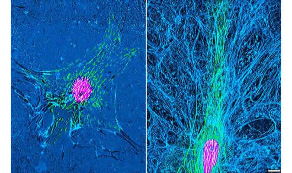 Link to /sites/default/files/styles/slider_desktop/public/images/slide/8large_0.jpg?itok=Jm0IeQBv