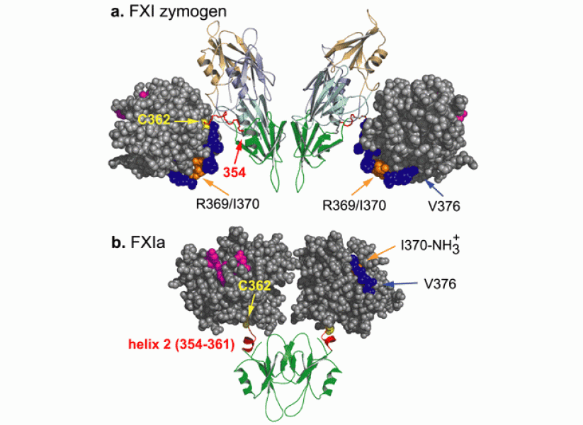 Link to /sites/default/files/styles/slider_desktop/public/images/slide/9large_1.gif?itok=e7hfLkVT