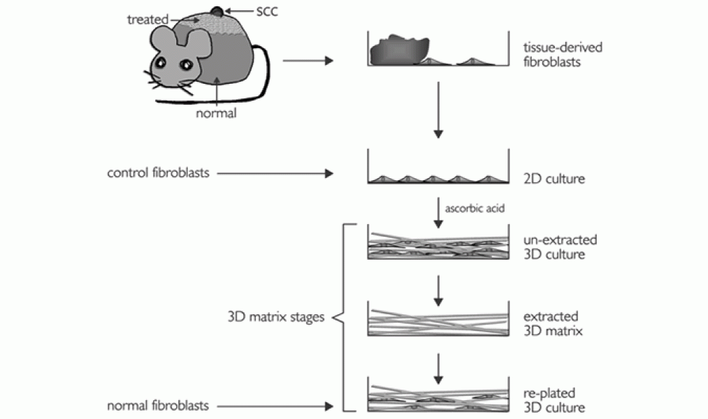 Link to /sites/default/files/styles/slider_desktop/public/images/slide/9large_2.gif?itok=AKIAvz0V