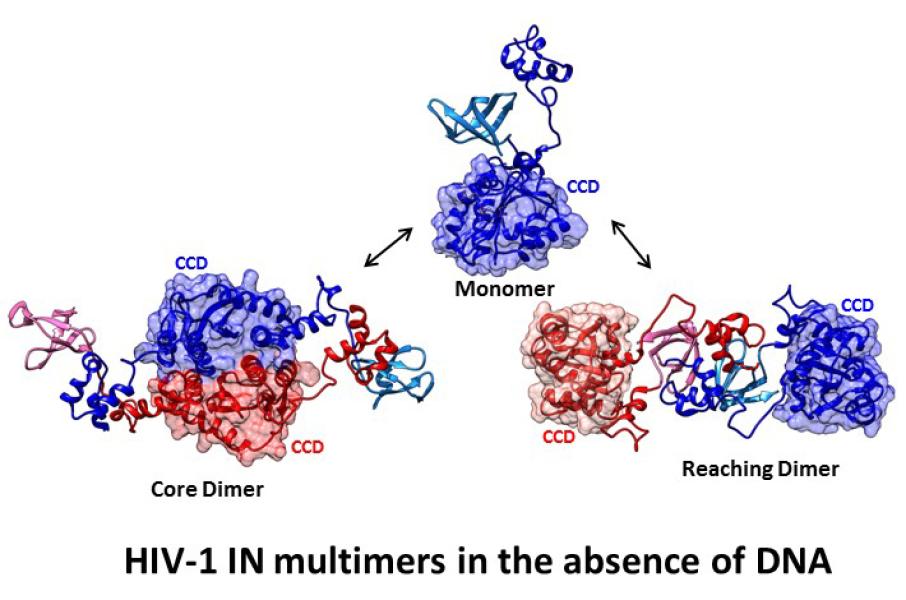 Link to /sites/default/files/styles/slider_desktop/public/images/slide/AndrakePicture2.jpg?itok=RV9AS9RE