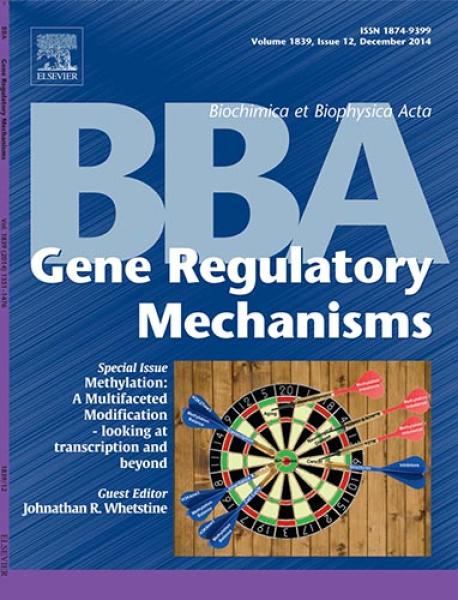 Link to /sites/default/files/styles/slider_desktop/public/images/slide/BBACover.jpg?itok=u4pRboaz