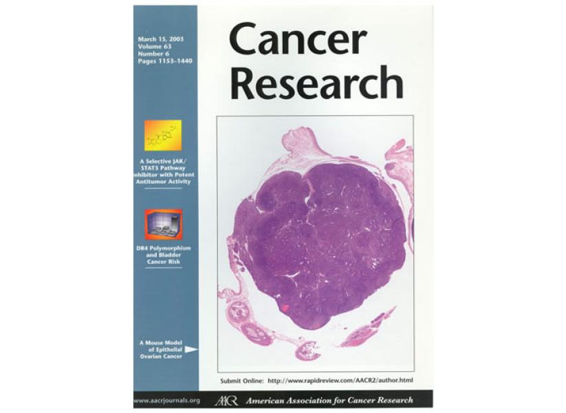 Link to /sites/default/files/styles/slider_desktop/public/images/slide/CA-cover_large_0.jpg?itok=hj_EILld