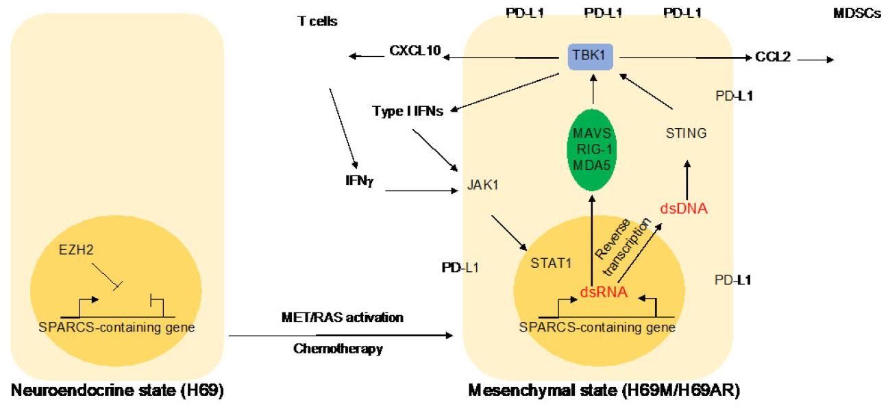 Link to /sites/default/files/styles/slider_desktop/public/images/slide/CanadasFig2_0.jpg?itok=19B4VGdE